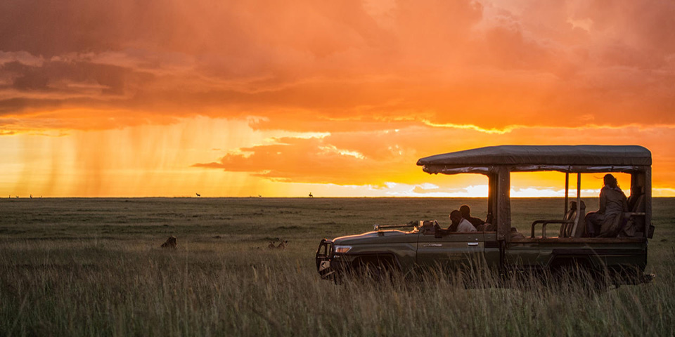 © Mara Plains