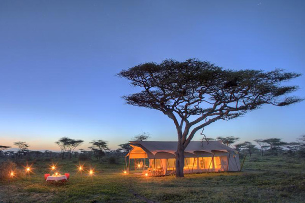 Serengeti Under Canvas, Tanzania