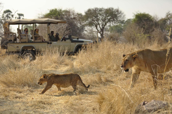 Ruaha National Park