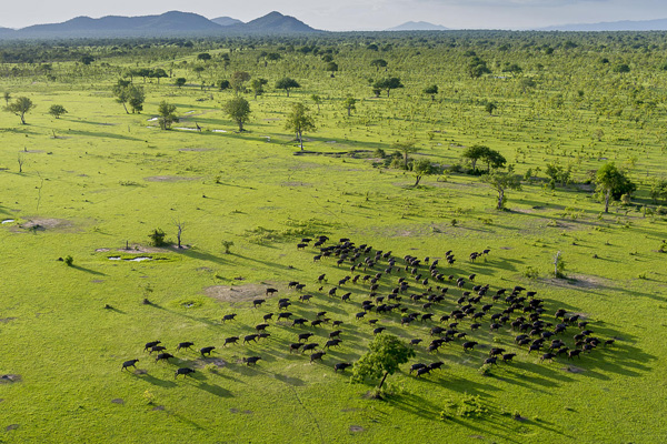 Selous Game Reserve