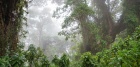 The Volcanoes National Park