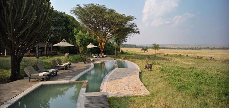 kichwa tembo masai mara kichwa tembo masai mara