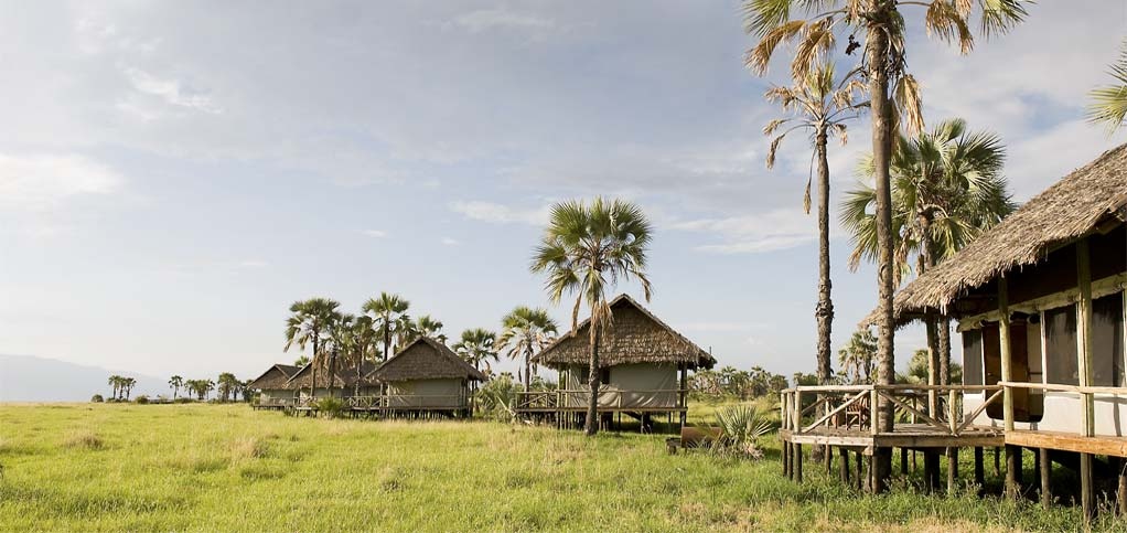 Praten tegen voorbeeld Raak verstrikt Maramboi Tented Camp | Tarangire National Park, Tanzania | The Africa  Specialists™
