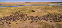 Liuwa Plain National Park