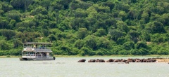 Queen Elizabeth National Park