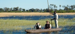 Mokoro in the Okavango Delta