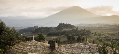 Bisate Lodge - View