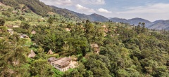 Bwindi Lodge