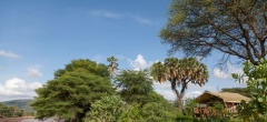 Elephant Bedroom - view