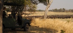 Katavi wildlife camp - view