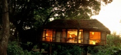 Lake Manyara Tree Lodge - bedroom