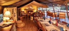 Offbeat Mara Camp