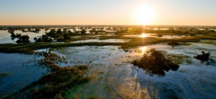 Pelo Camp - Aerial View