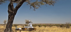 Tarangire Treetops - Lunch