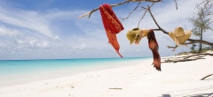 Vamizi Island, Mozambique