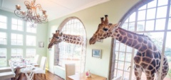 Giraffe Manor