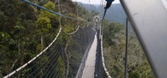 Nyungwe Forest Lodge - Rwanda