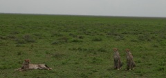 Client photo - Ngorongoro
