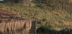 Arlene - Maasai Lodge