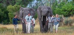 Abu Camp - Elephant Interaction