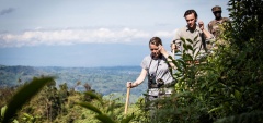 Clouds Mountain Gorilla Lodge 