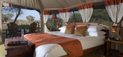 Elephant Bedroom Camp