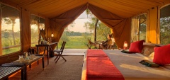 Elephant Pepper Camp