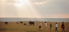 Elephant Pepper Camp