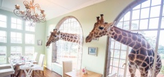 Giraffe Manor