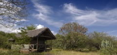 Kirurumu Tented Lodge - view