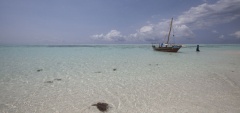 Matemwe Lodge - sea