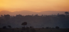Nomad Lamai - Sunset view