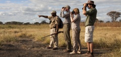 Olivers Camp - Walking safari