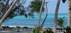 Pongwe Beach Club - Pool