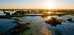 Pelo Camp - Aerial View