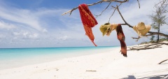 Vamizi Island, Mozambique