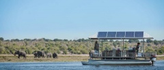 Chobe Waterfront