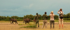 Walking Safaris in South Luangwa