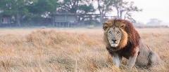 Kafue National Park