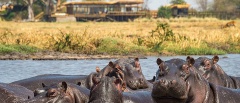 Kafue National Park