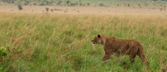 Kidepo Valley National Park