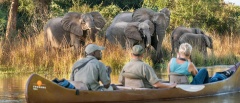 Lower Zambezi National Park