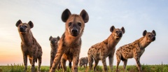 Liuwa Plain National Park