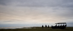 Lake Manyara National Park