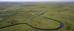 Okavango Delta Concessions