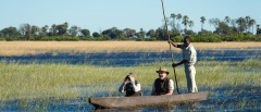 Mokoro in the Okavango Delta