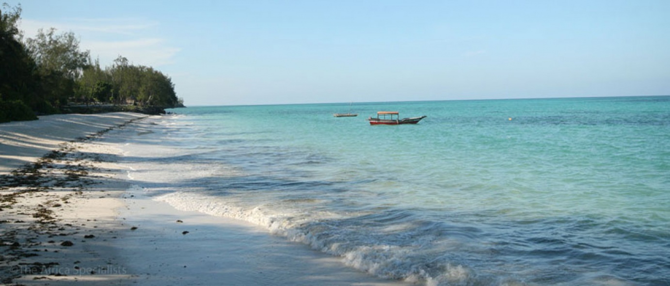 kløft Installation naturlig Zanzibar beaches | Tanzania | The Africa Specialists™