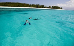 Snorkelling in Zanizbar