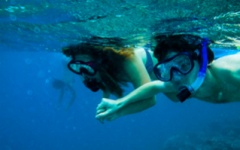 Zanzibar snorkelling