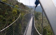 Nyungwe Forest Lodge - Rwanda